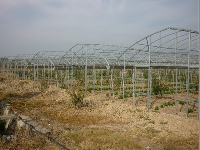 源農(nóng)溫室 專業(yè)溫室大棚銷(xiāo)售、安裝與維修服務(wù)